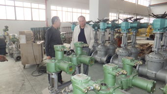 常州蘭陵自動化公司成功開發(fā)新一代多回轉閥門電動裝置，引領工業(yè)自動化技術革新