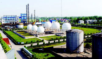 潛江聚力促發(fā)展，強招商打造新能源新材料產業(yè)新高地